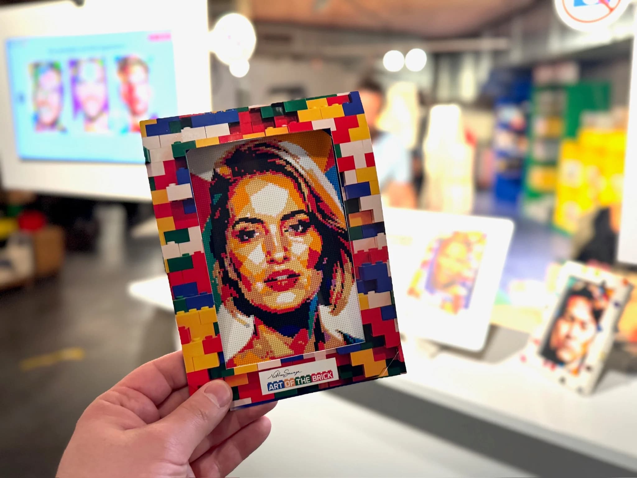 Art of the brick project visual 2